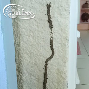 Détection de termites - Cordon sur un mur